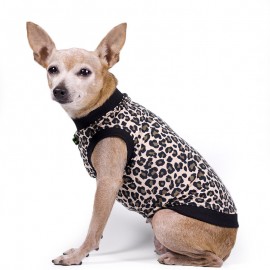 Camiseta para perros estampado leopardo de caninetto barcelona