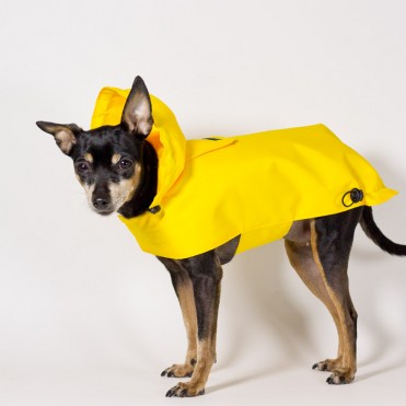 Chubasquero amarillo para perros de caninetto
