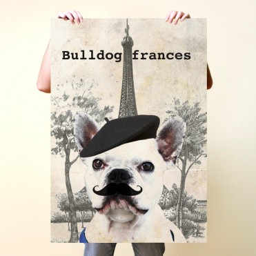 Bulldog francés en Paris