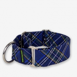 Collar Martingala Tartan Azul