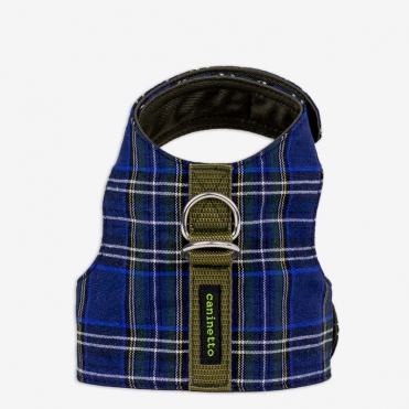 Arnés Tartán Azul