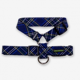 Arnés tiras TARTAN AZUL