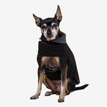 Abrigo negro softshell para perro urbano – Caninetto